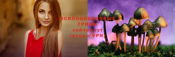 крисы Пересвет