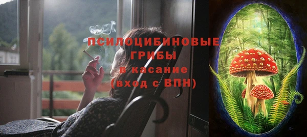 крисы Пересвет
