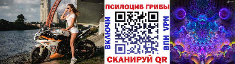 Галлюциногенные грибы ЛСД  магазин продажи наркотиков  Североморск 